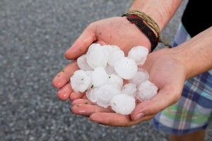 cat_claims_hail